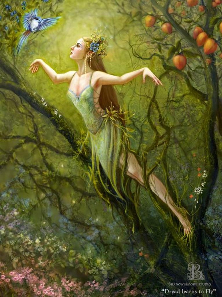 dryad learns to fly by Brooke Gillette