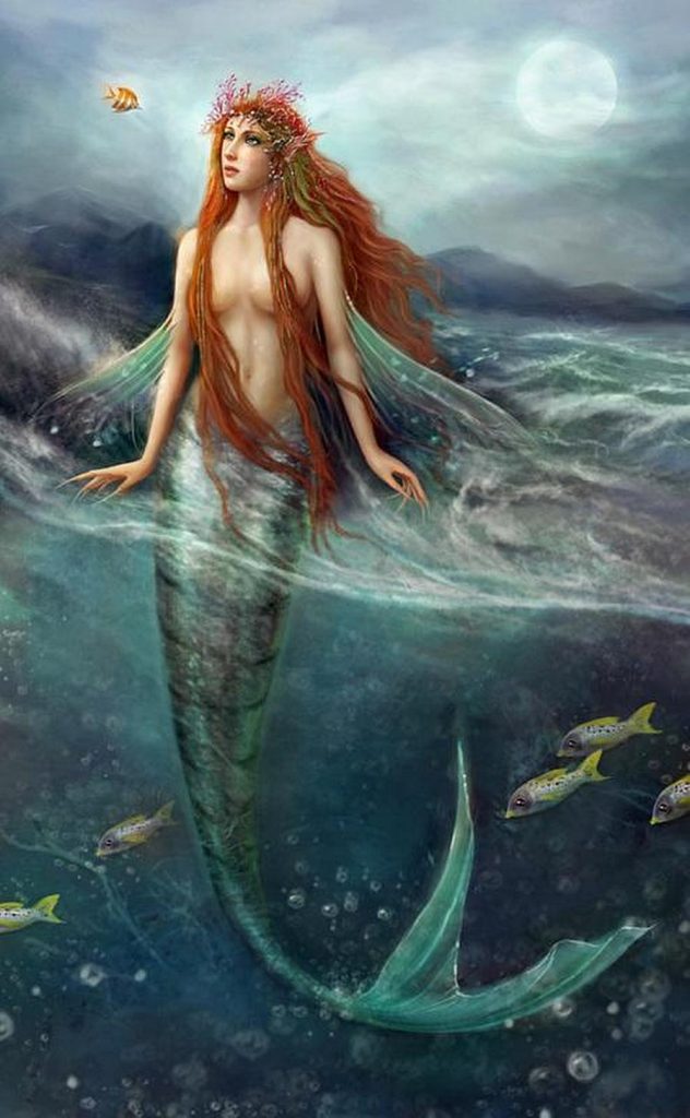 mermaid by Brooke Gillette
