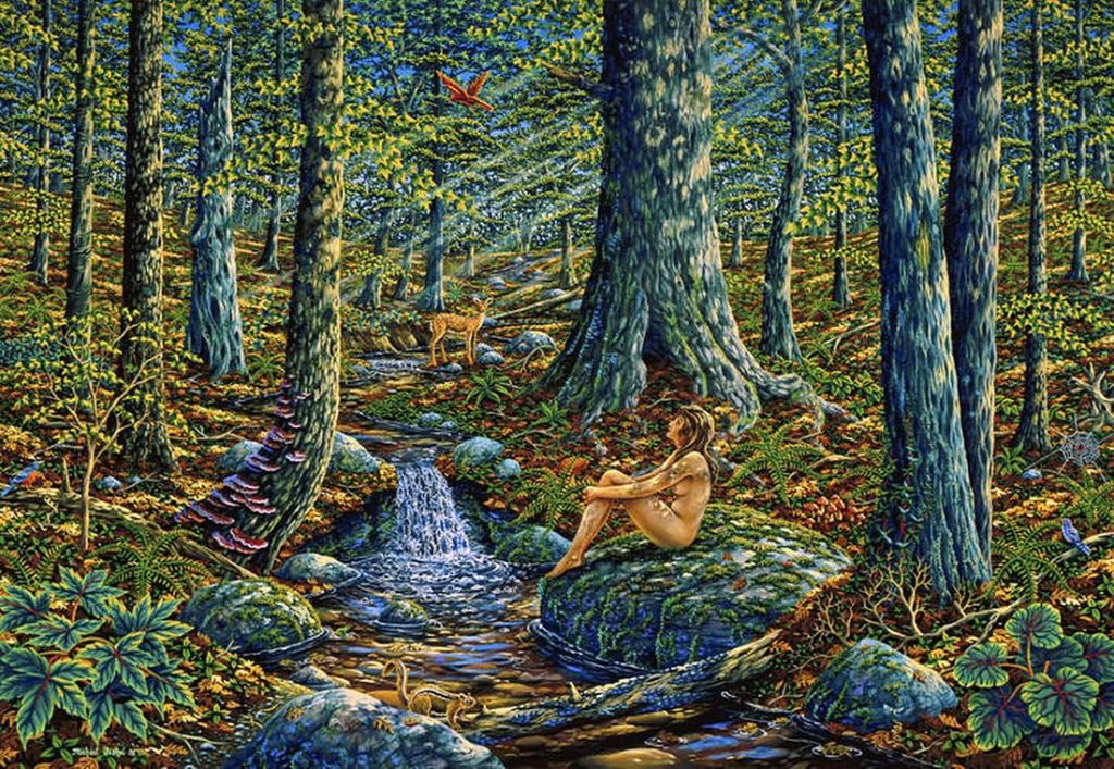 woodland harmony by Michael Fishel